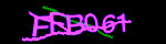 show_captcha