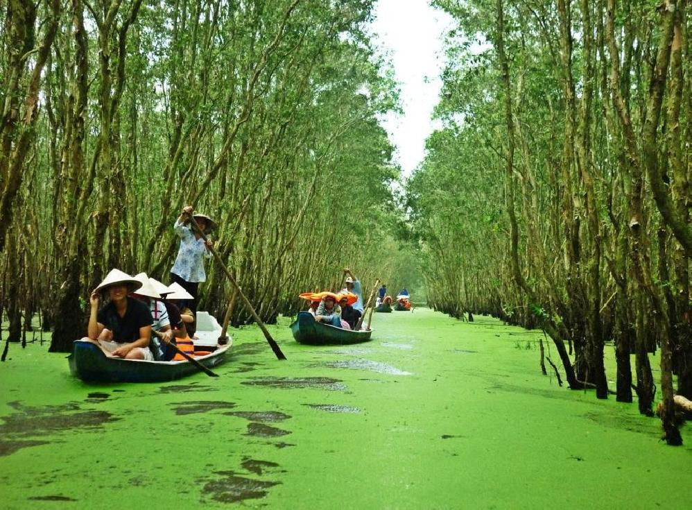 Cần Giờ – Hành Trình Xanh: Khám Phá Rừng Sác &Văn Hóa Miền Biển