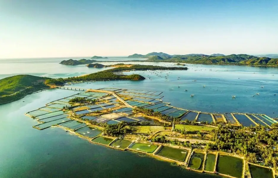 Tour Phú Yên - Bãi Xép 1 ngày