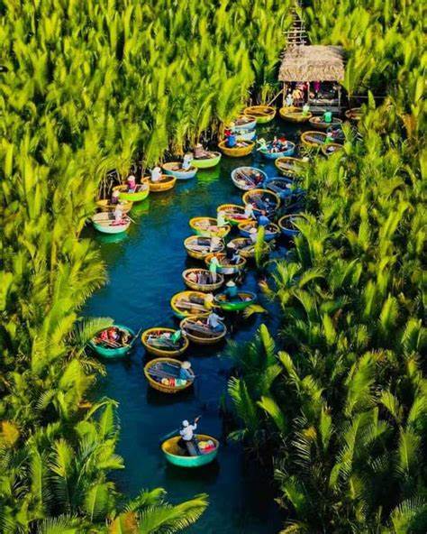 THAM QUAN RỪNG DỪA 1 NGÀY