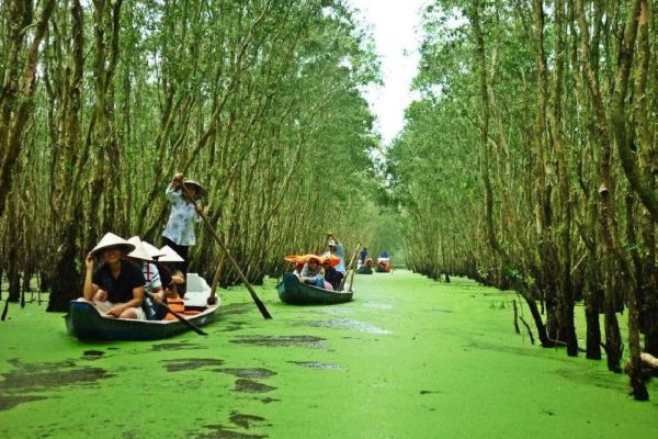 Cần Giờ – Hành Trình Xanh: Khám Phá Rừng Sác &Văn Hóa Miền Biển